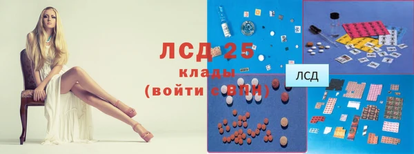 эйфоретик Алзамай