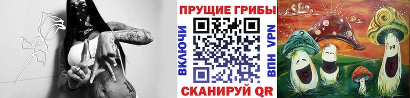 Псилоцибиновые грибы Cubensis  наркота  Севастополь 