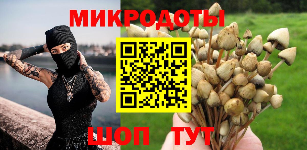 Псилоцибиновые грибы Psilocybine cubensis Севастополь