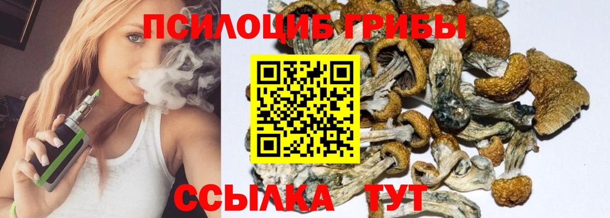 Псилоцибиновые грибы Psilocybine cubensis  Вход с VPN  Севастополь  Галлюциногенные грибы мухоморы 